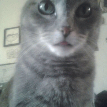 Sloth (USA-2) : Mmnneeeh!